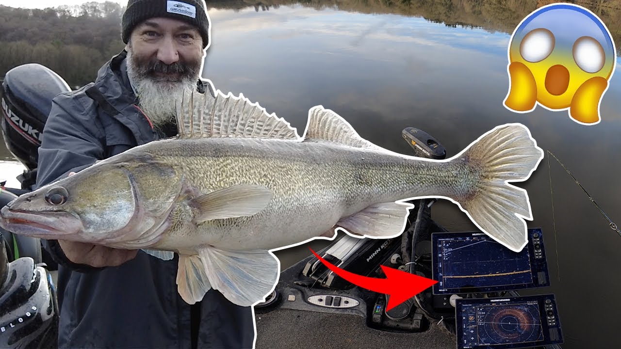 Une TECHNOLOGIE RÉVOLUTIONNAIRE pour PÊCHER le SANDRE feat FRED JULLIAN (MEGA LIVE IMAGING)