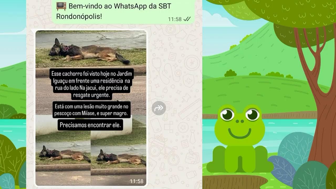 SBT COMUNIDADE  - 17/02/2025