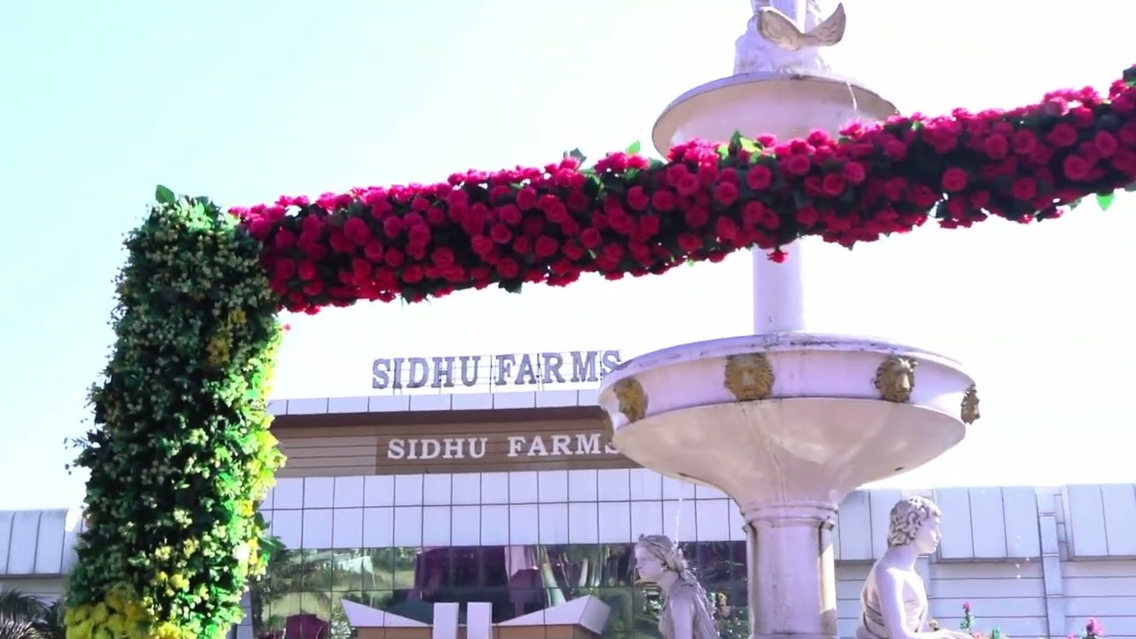 SIDHU FARMS SHERON TARN TARAN