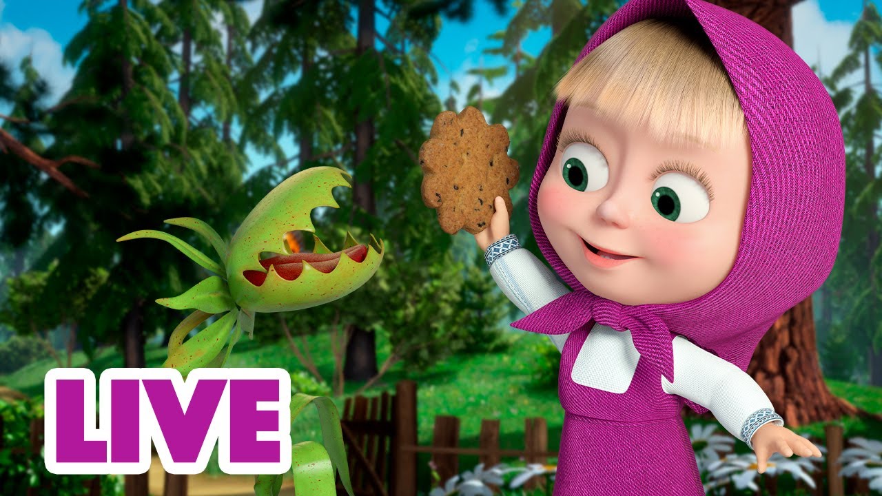 🔴 LIVE STREAM 🎬 Masha and the Bear ✨ Everybody has a gift 🎭