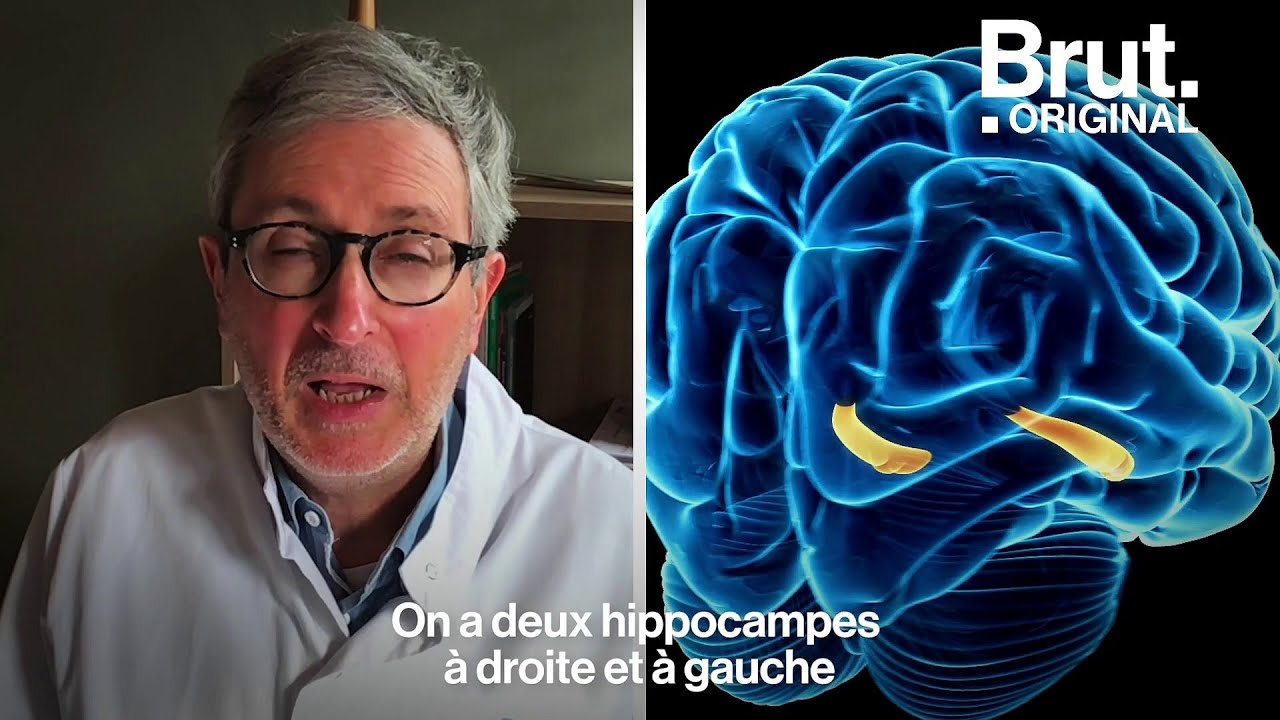 D'où vient la sensation de déjà-vu ?
