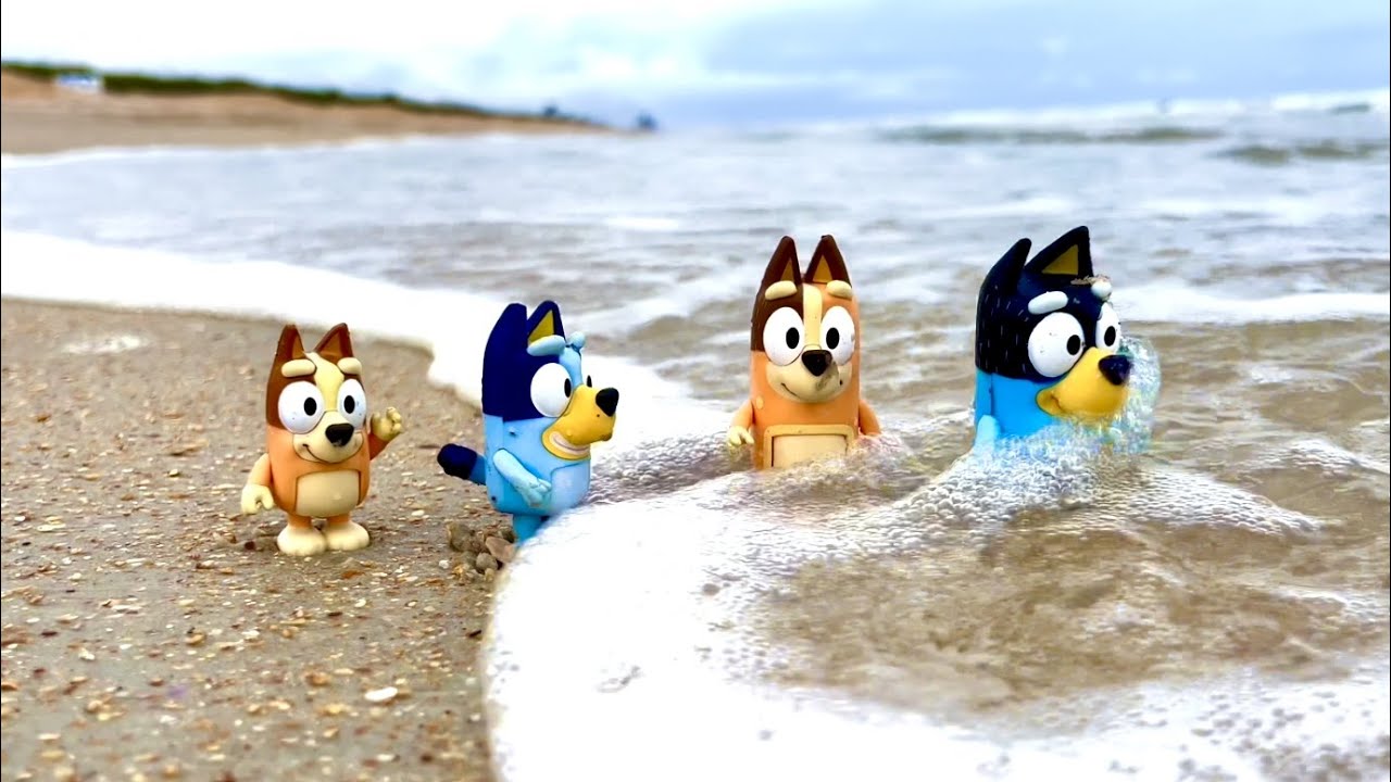 BLUEY Bingo beach adventure 30 minutes