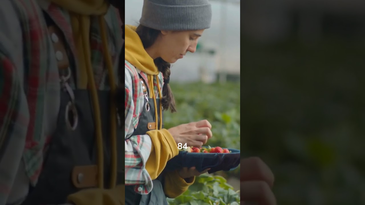 6 ofertas de empleo con Visa H2A y H2B para febrero 2025