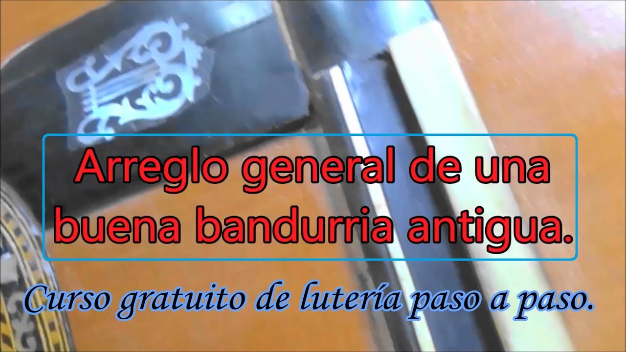 Restauración general de una bandurria con el nácar.