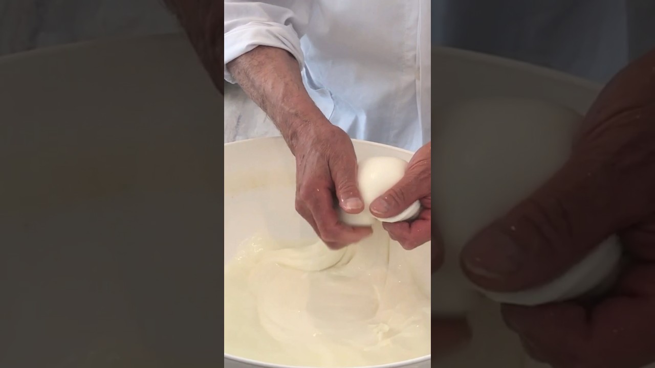 Making Burrata #cheesemaking #shorts