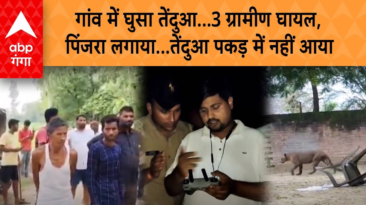 UP NEWS: गांव में घुसा तेंदुआ...3 ग्रामीण घायल, पिंजरा लगाया...तेंदुआ पकड़ में नहीं आया