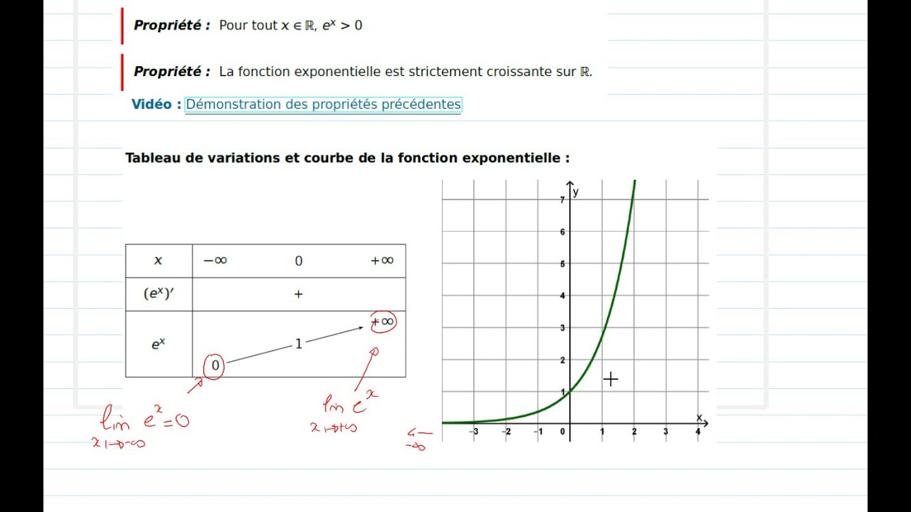1maths Etude de la fonction exponentielle, variation et représentation graphique
