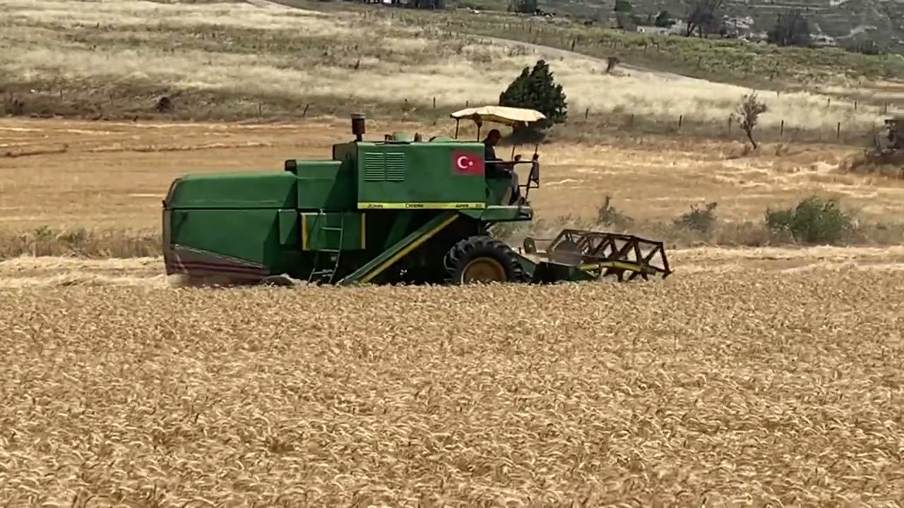 John Deere 955 buğday biçimi 2025