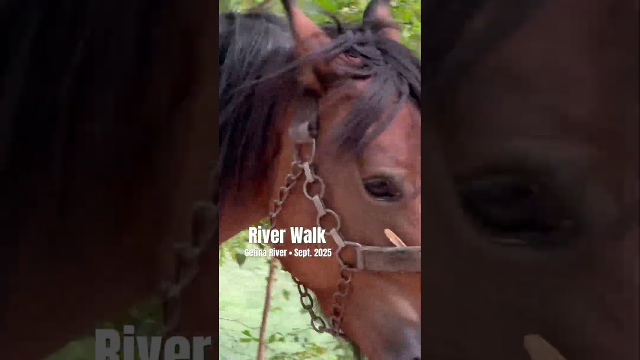 Travel: Cetina River Walk 
