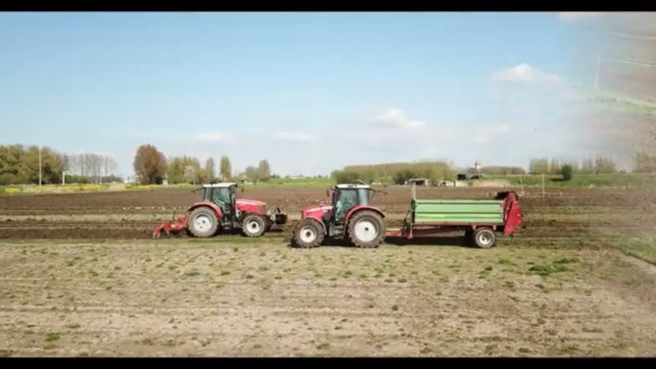 Maïsland bewerken firma de Wit 2023