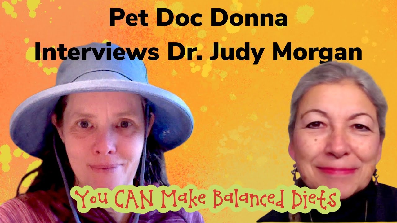 Pet Doc Donna interviews Dr. Judy Morgan--whole foods, how to stay strong and optimum health tips.