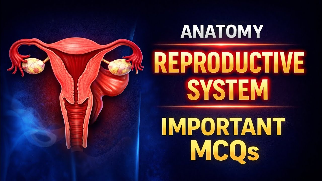 Anatomy – Reproductive System Important MCQs | BSc Nursing | ANM | GNM