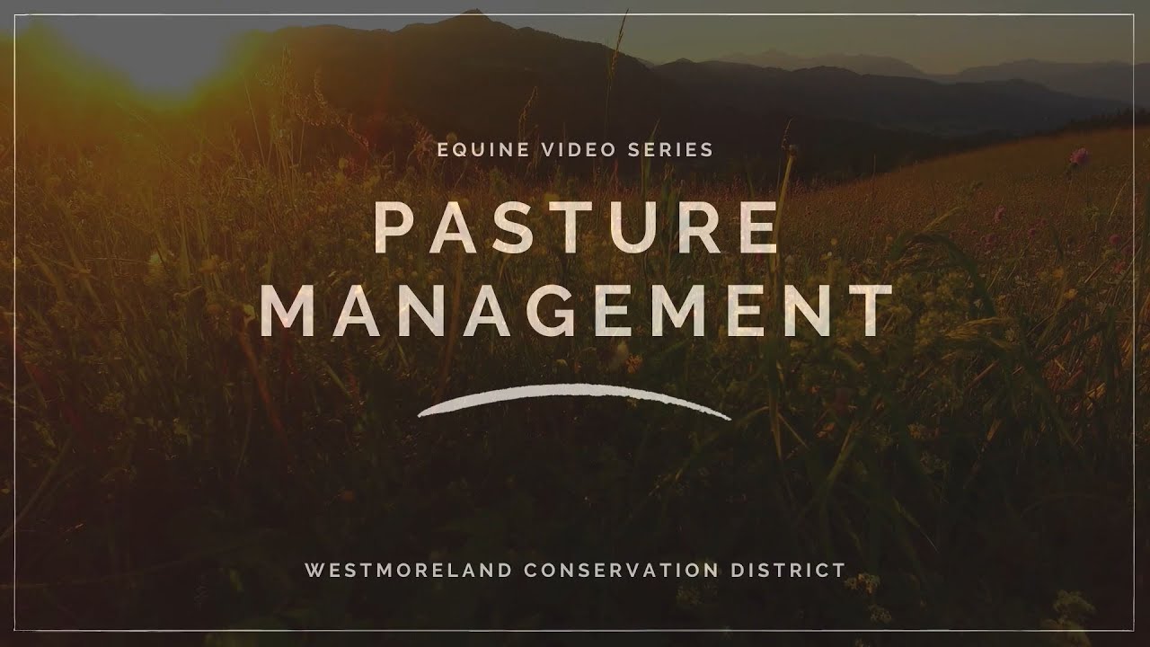 Equine Video Series | Pasture Management