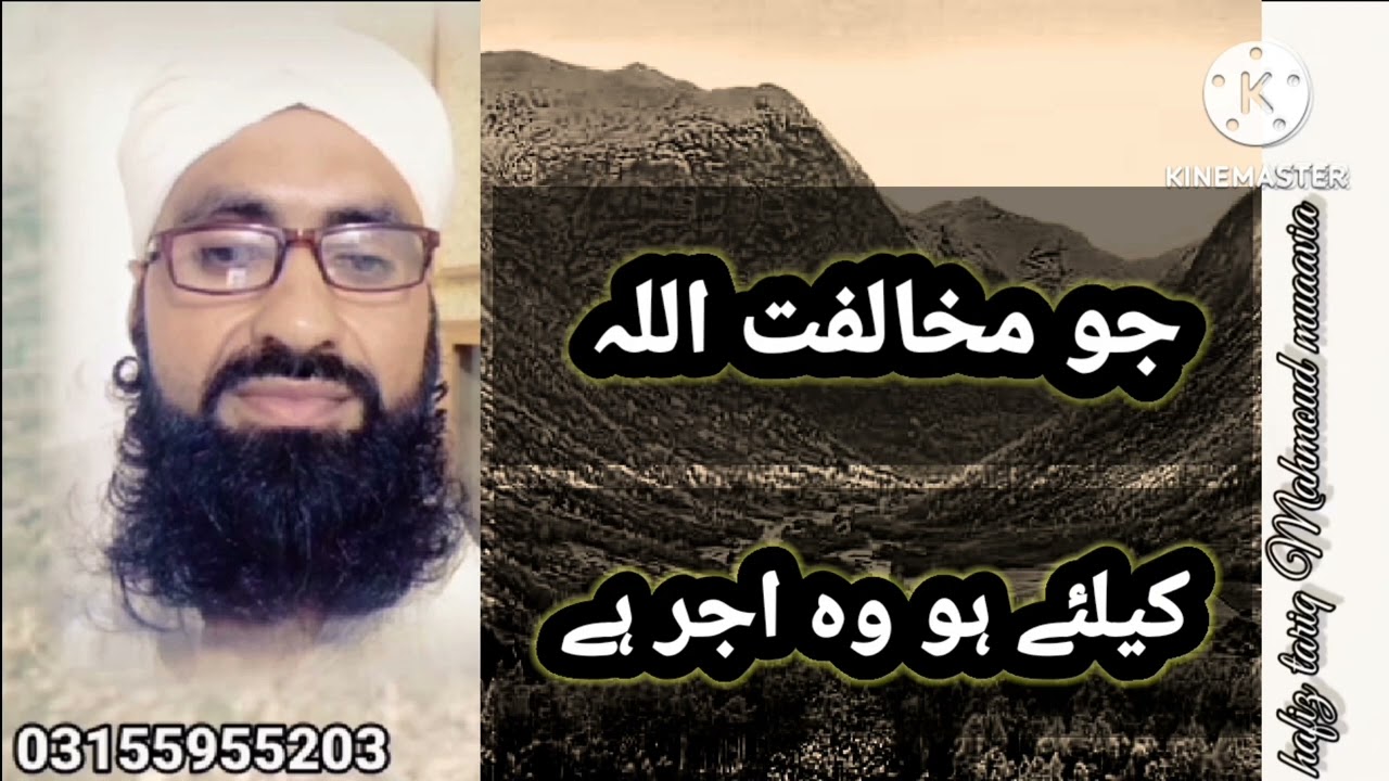 Tariq Mahmoud muaavia chakwal قیمتی باتیں