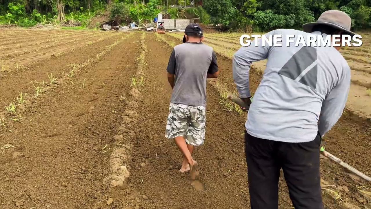 Preparasyon | GTNE FARMERS