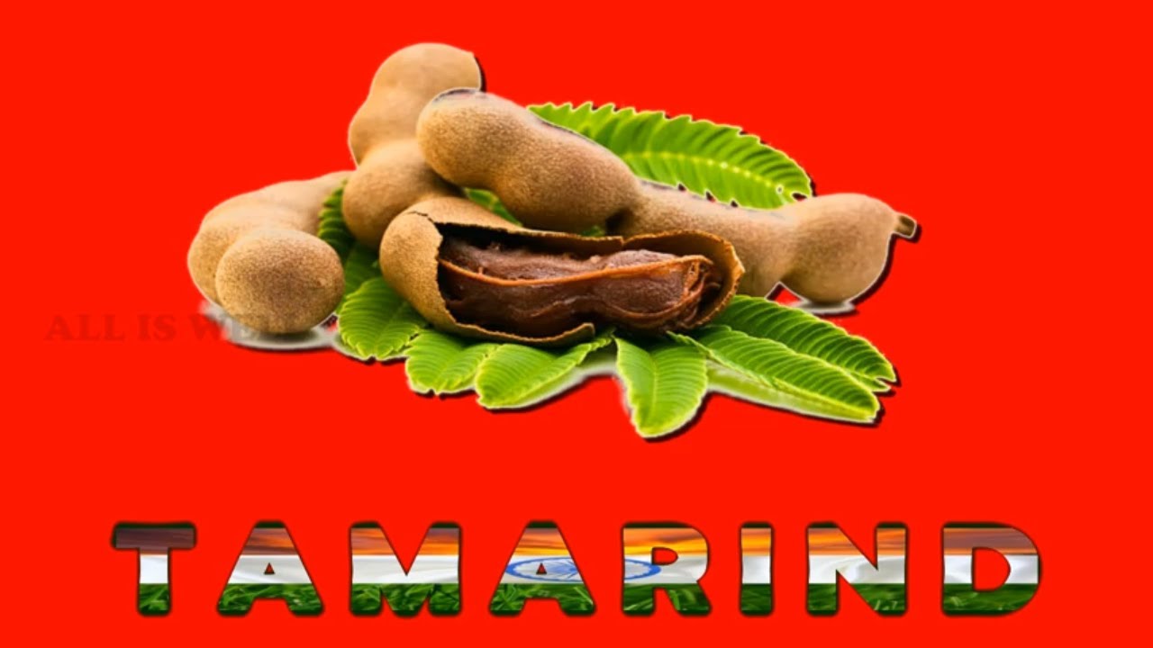 Fruits Name | Pre KG | LKG | UKG | 1st STD | Education Video - Vairatha - All Is Well
