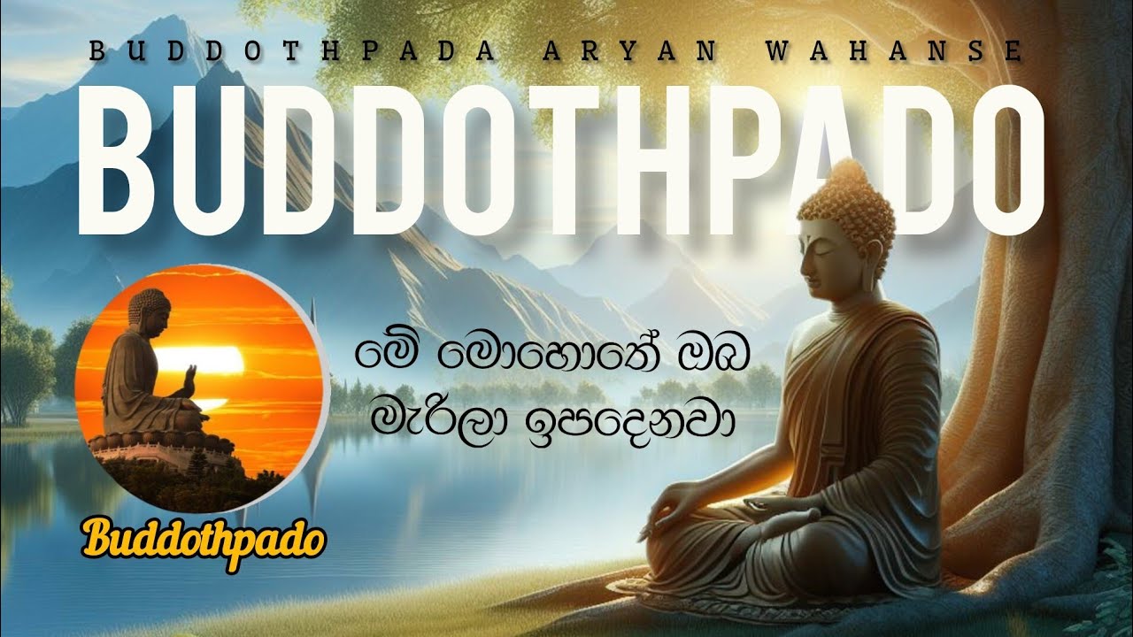 ආර්ය ප්‍රතිපදාව | මේ මොහොතේ ඔබ මැරිලා ඉපදෙනවා 🪷