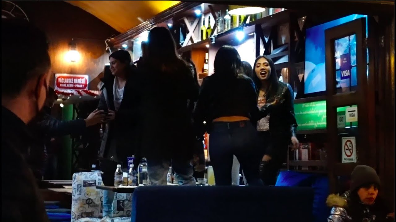 MEKSYK - POWRÓT NA STARE ŚMIECI I WIECZORNE WYJŚCIE