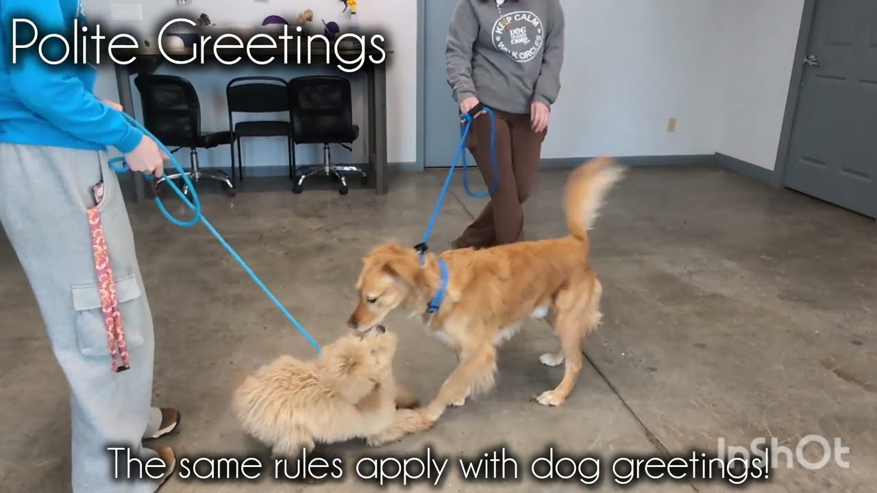 Bean's Training Video 