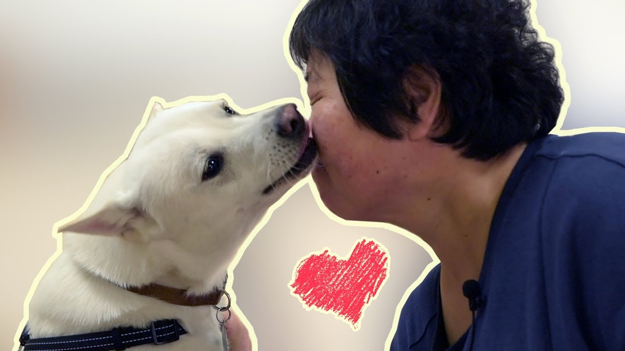 영화 '리틀 포레스트'의 임순례 감독과 오구의 케미폭발 현장