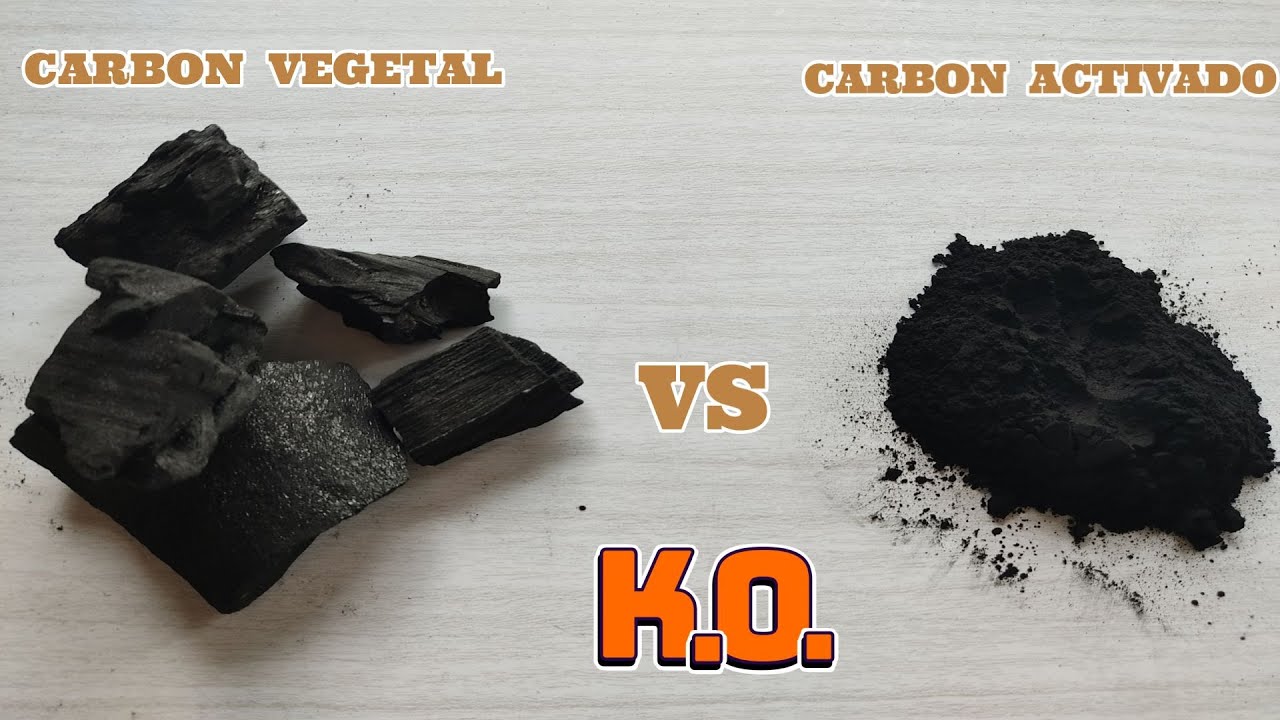 🖤Carbón VEGETAL vs Carbón ACTIVADO,  ORO Negro en tus Plantas🌹