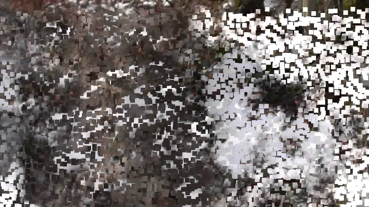Aktoprak - Keramet