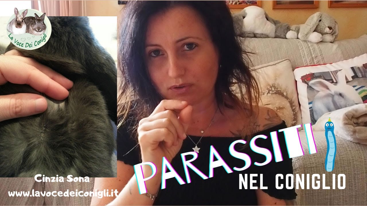 PARASSITI nel CONIGLIO (come riconoscerli e cosa fare) #coniglio #malattie