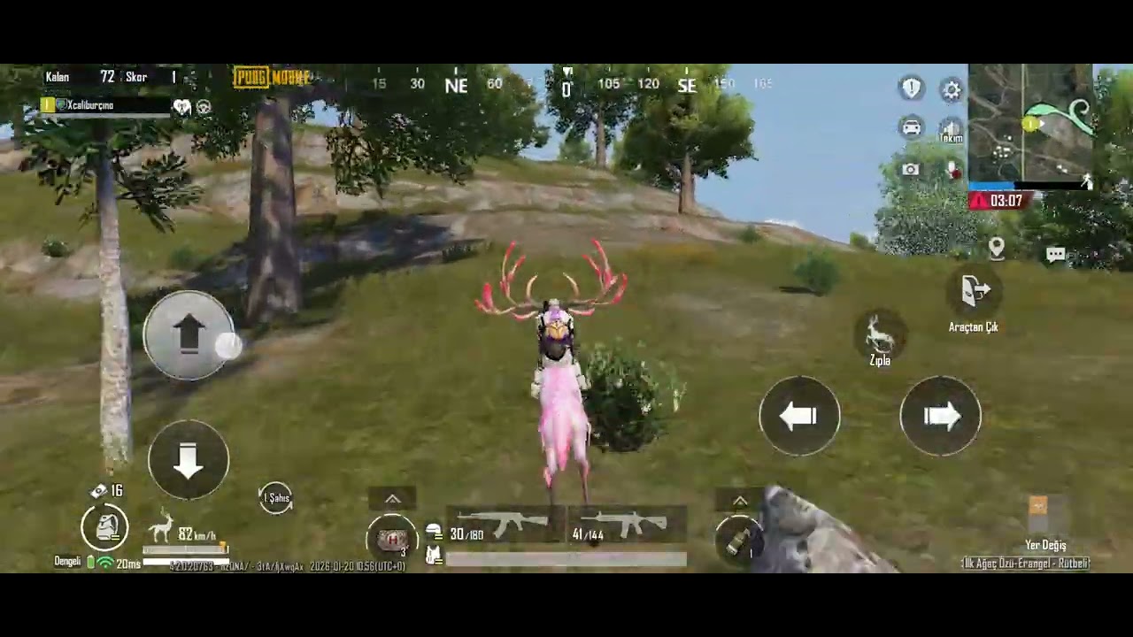 Winner Winner Chicken Dinner
