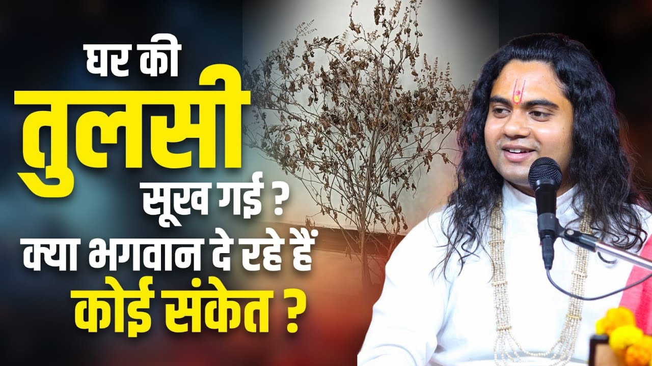 घर में तुलसी सूख जाए तो सावधान! सच जानकर चौंक जाएंगे || Pujy Shashikant Ji