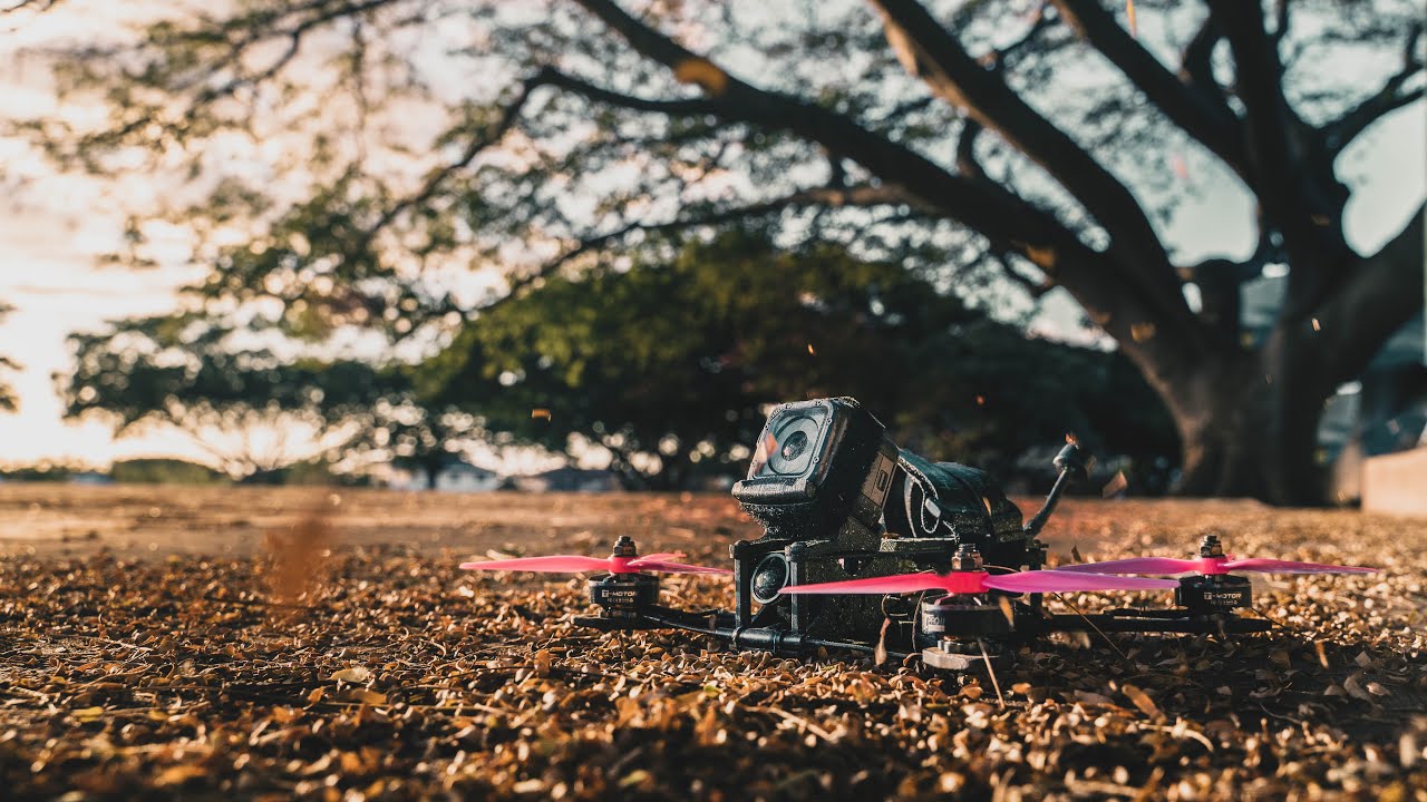 Proximity Flow State | FPV Freestyle