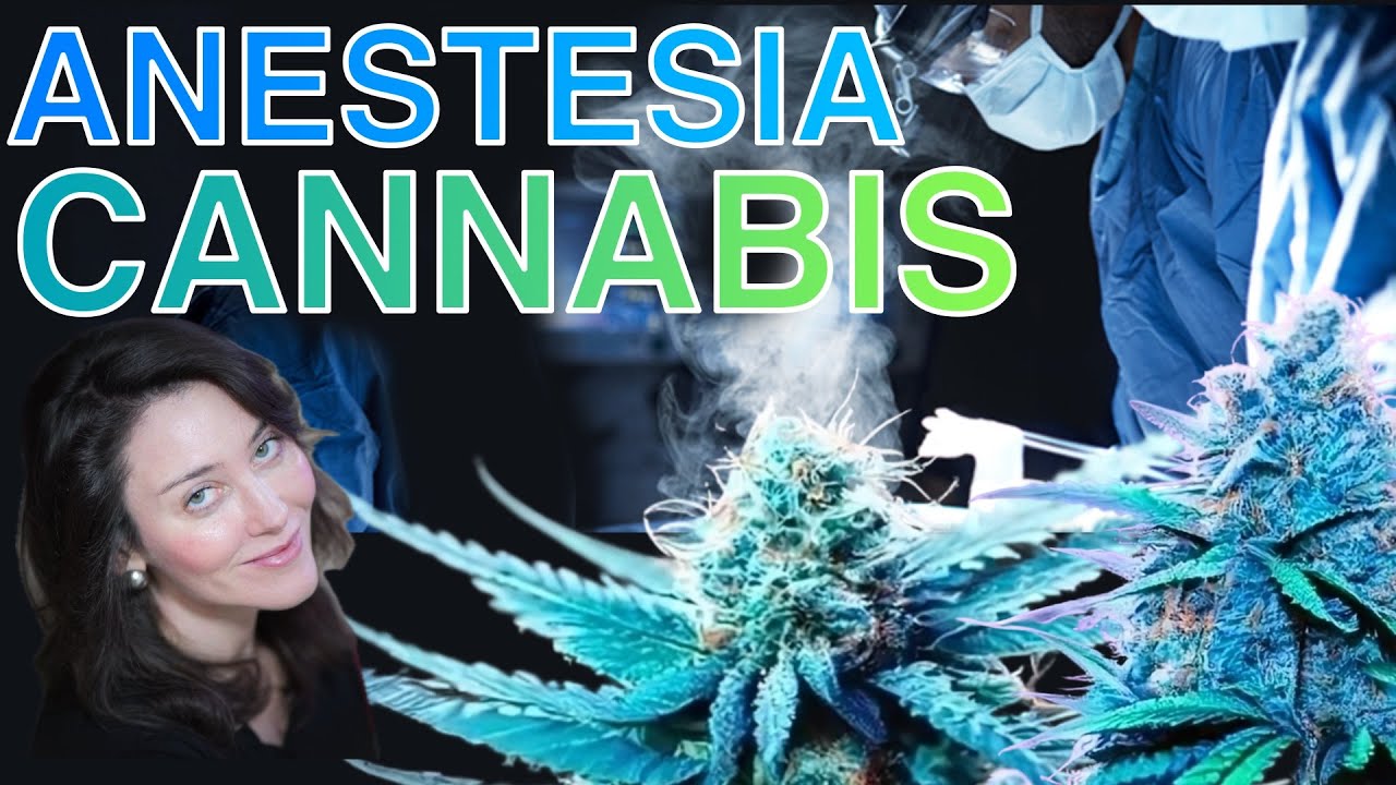 CANNABIS. Quali Effetti sull'ANESTESIA?