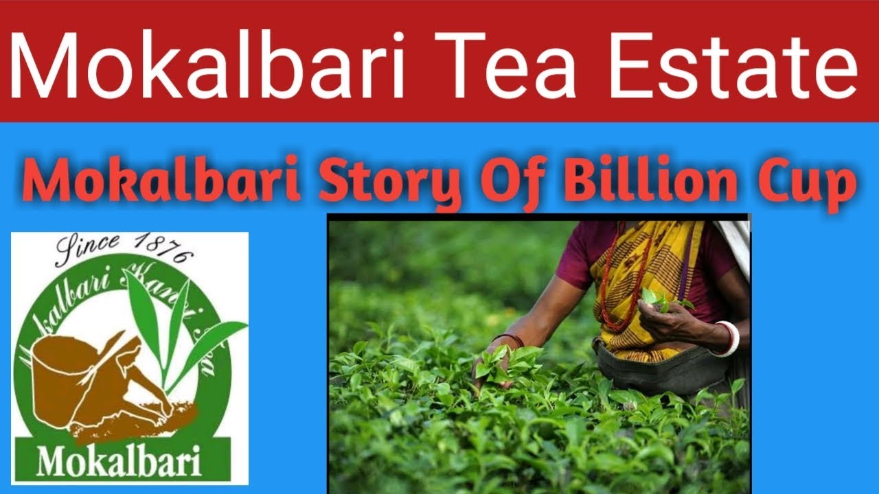 Mokalbari Tea Estate