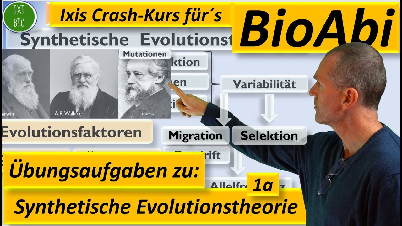 Synthetische Evolutionstheorie 1a - Anwendungsaufgaben zur Vorbereitung aufs Abitur Teil A
