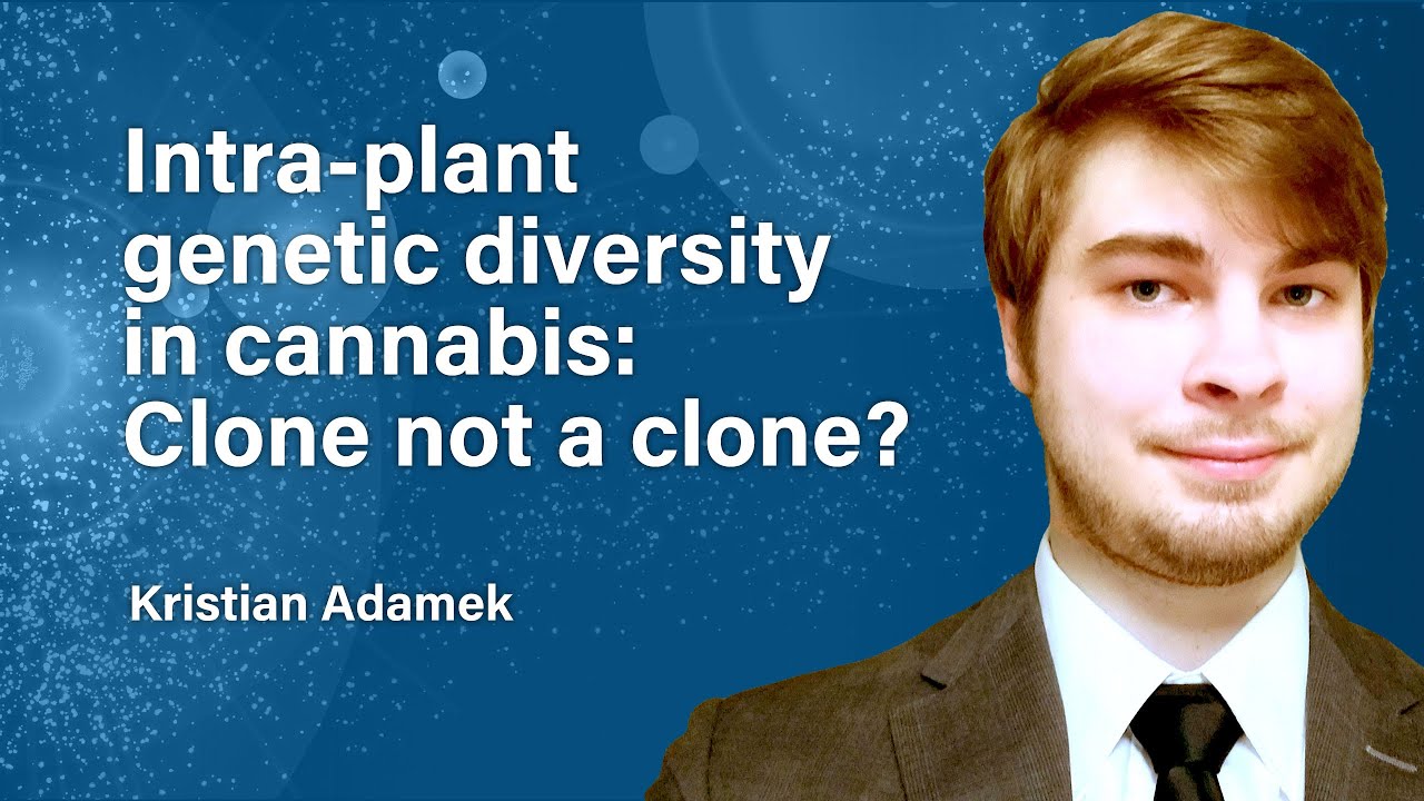 Intra-plant genetic diversity in cannabis: Clone not a clone? | The Plant Genome Webinar