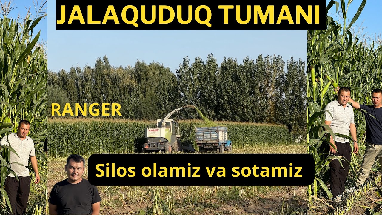 GREENLIFE RANGER silos olamiz sotamiz takroriy ekin