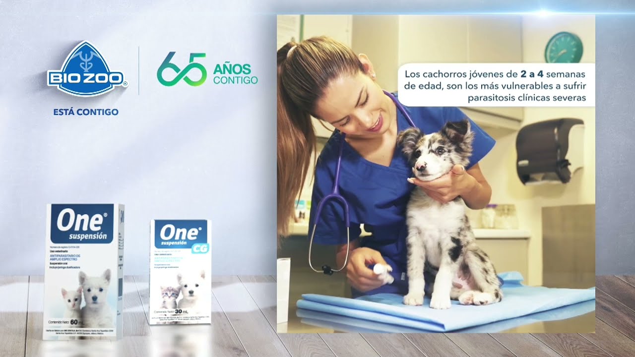 Conoce el desparasitante One Suspensión con el Dr. Pablo Martínez Labat