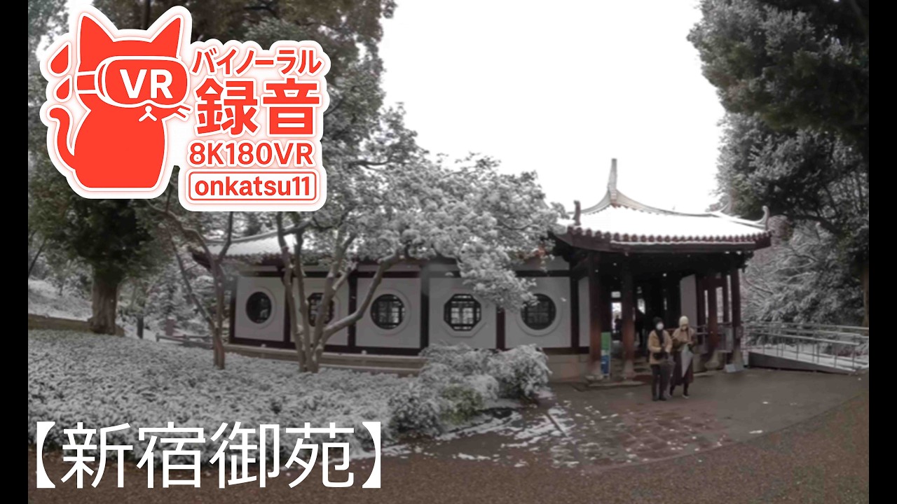 ❄️[Walking Through Shinjuku Gyoen in Heavy Snow—A Silent Garden Transformed by Winter]Chapter Five‼