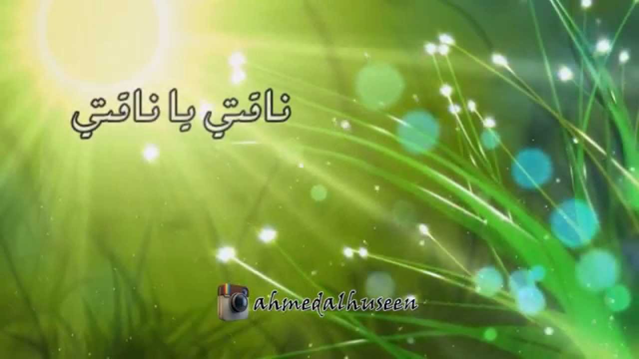 شيلة ناقتي يا ناقتي ما عليك من الهروج - ناصر الفراعنه - مشاري بن نافل - مونتاج أحمد آل حسين