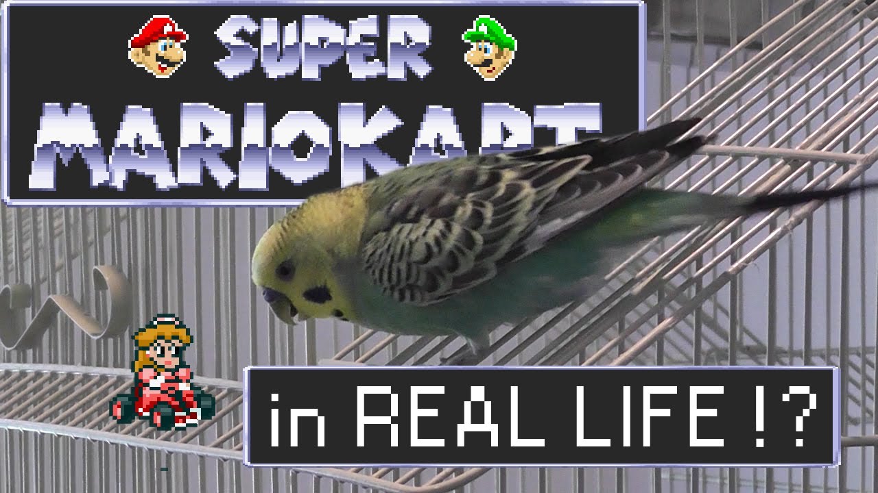 Super Mario Kart in REAL LIFE !?