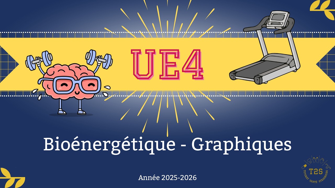 UE4 - Bioénergétique  - Les graphiques