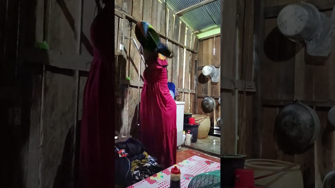 ini Salah bumil Menumpuk kerjaan.. pas inya udah bnyak bikin klenger..
