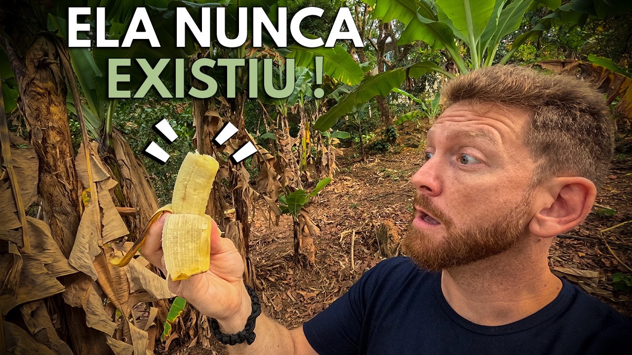 Ela NÃO Existe na Natureza -  A Incrível História da Banana!