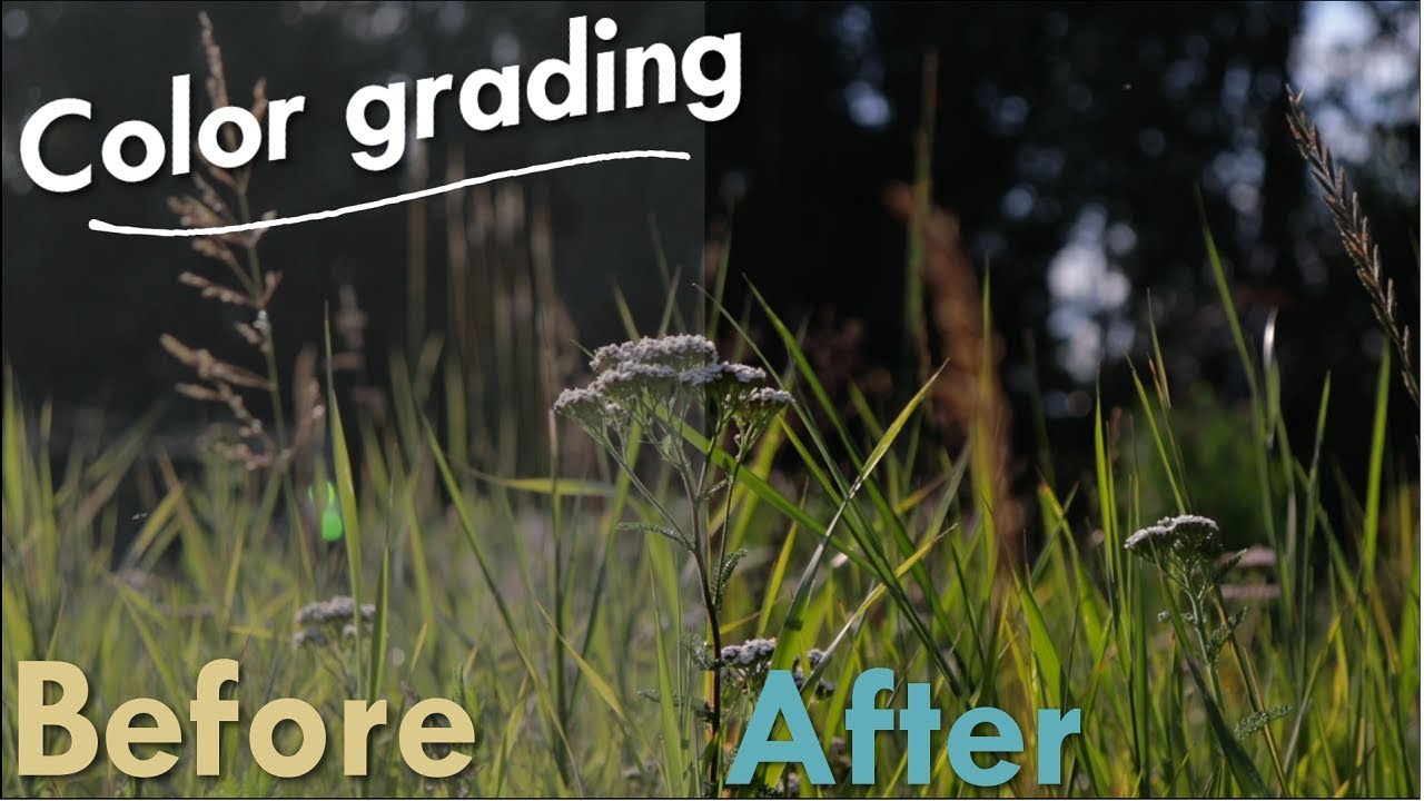 Color grading Cinestyle with Groundcontrol Rec709 LUT