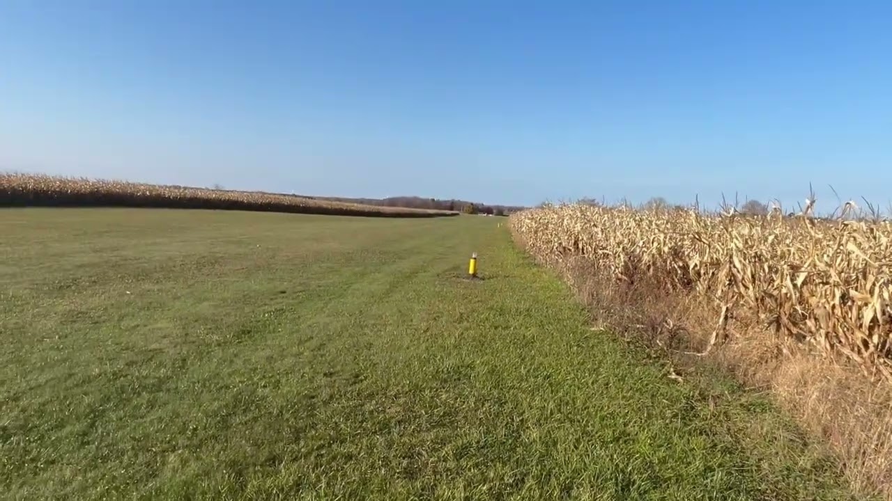 Bellanca Super Viking Fall takeoff