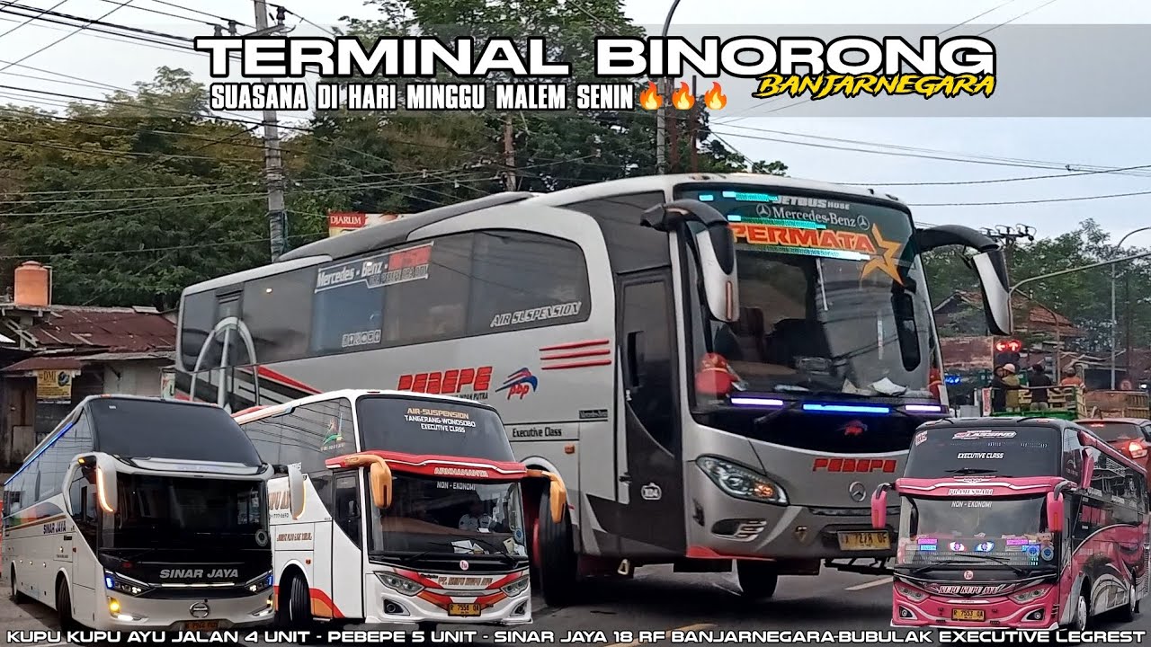 Suasana Di Terminal Binorong,Hari Minggu Malam Senin 🔥Sinar Jaya 18 RF Rolling Banjarnegara-Bubulak👍
