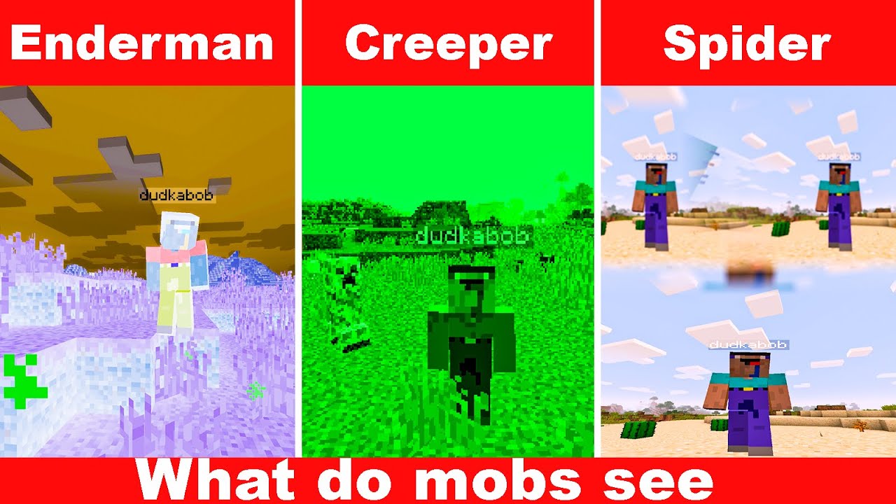 Minecraft WHAT DO MOBS SEE! POV  #1