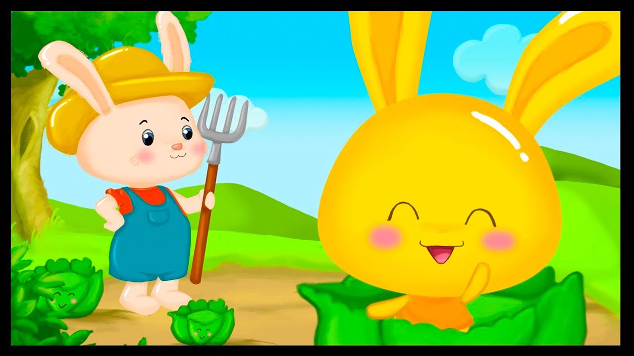 ¡NUEVO! 🐰 ¿Dónde se ha escondido el conejo? | Titounis