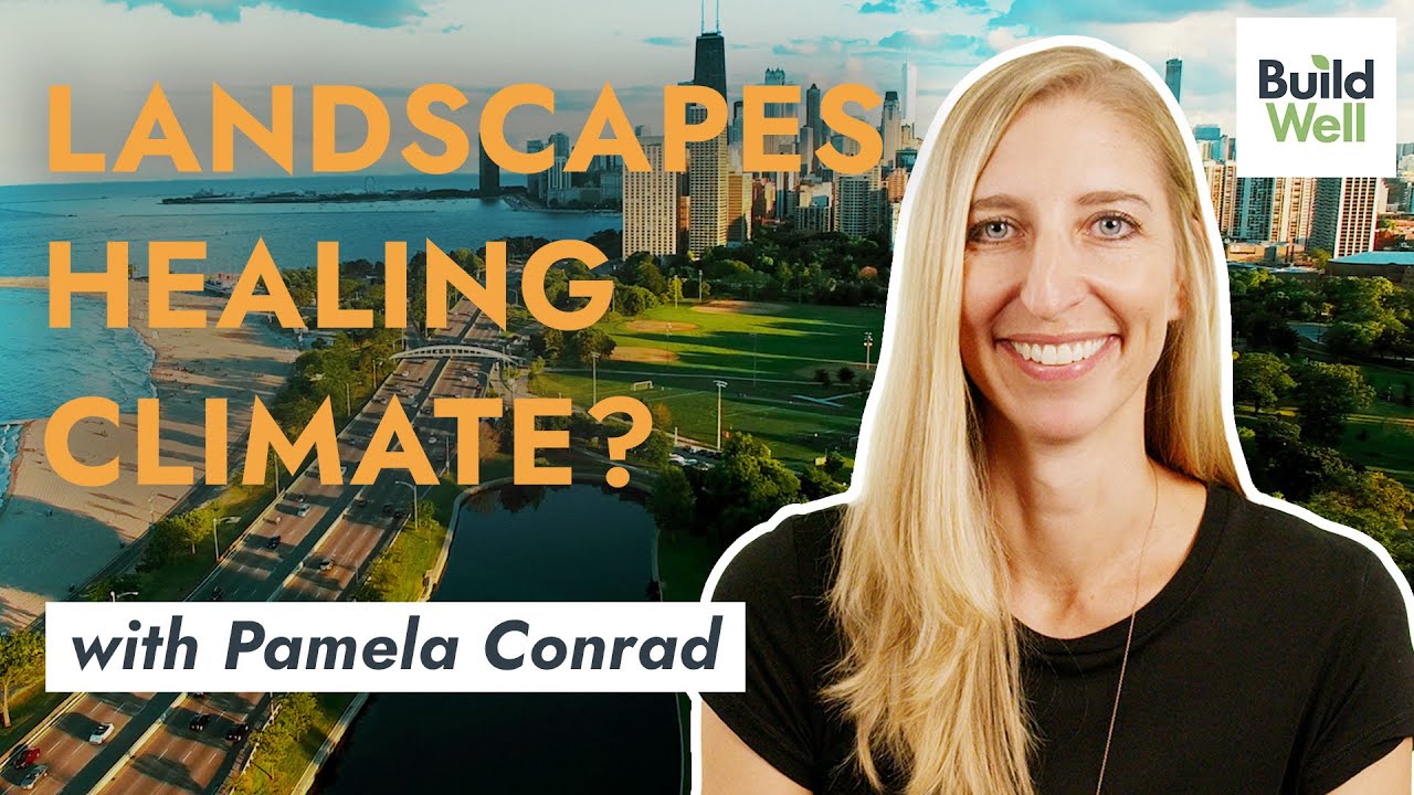 Soak it up! Carbon sequestering landscapes  // with Pamela Conrad
