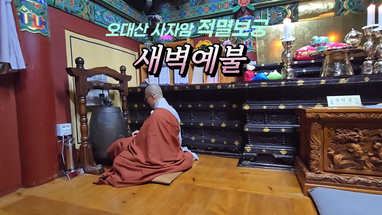 오대산 적멸보궁 일기 ~새벽예불 #오대산#예불#불교#적멸보궁#여행 #travel 