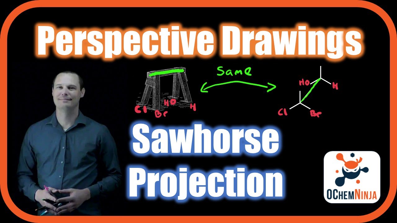 Sawhorse Projection Made Simple: Your Bridge to Newman Projections